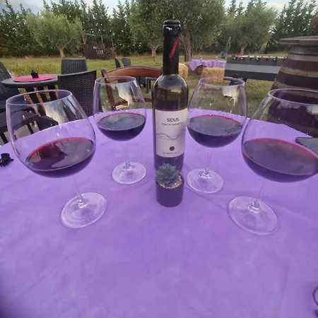 Vakantieboerderij Il Pianetto *